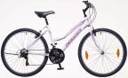 Nelson 18 n�i